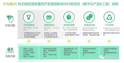 數(shù)字化轉(zhuǎn)型項(xiàng)目軟件外包開發(fā)的八大痛點(diǎn)與應(yīng)對策略