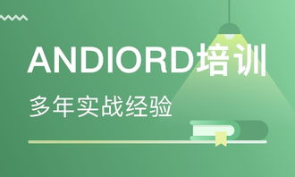 青島程序開發(fā)培訓與軟件外包服務 賦能企業(yè)數(shù)字化轉型的雙引擎